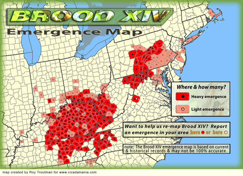 17 Year Cicada Ohio Map Map