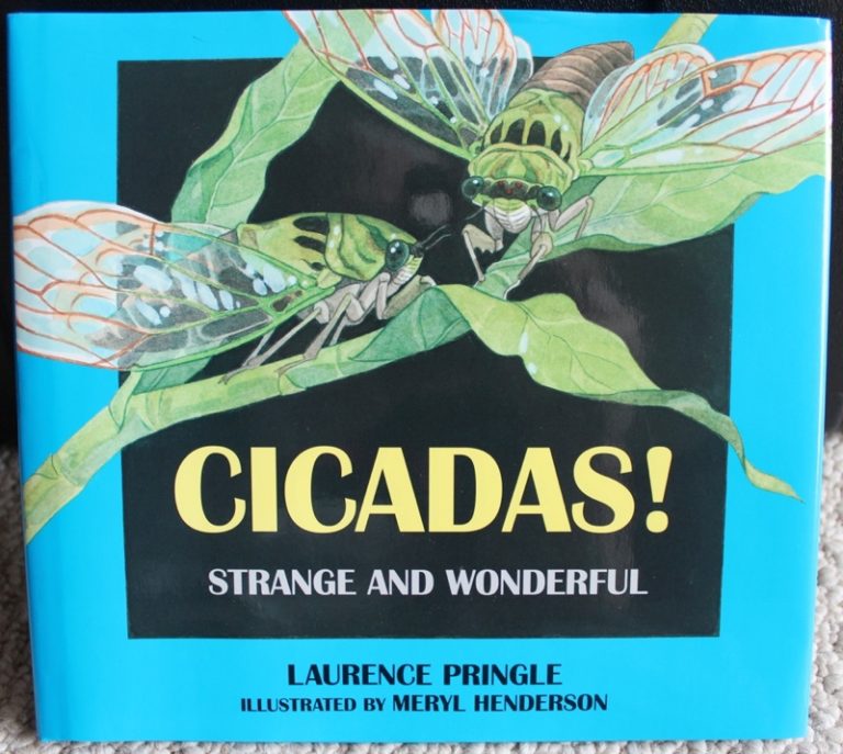 cicada picture book