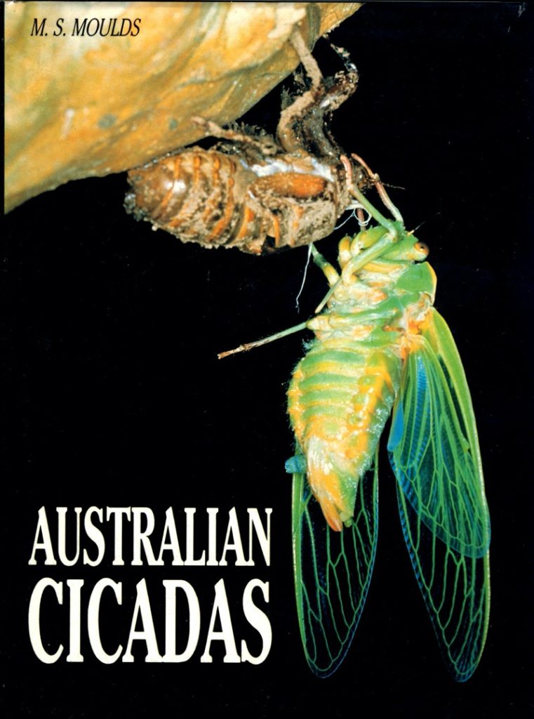 predators of cicadas