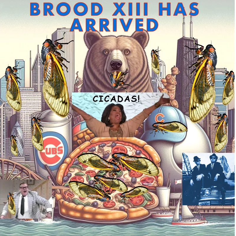 BROOD XIII HAS ARRIVED