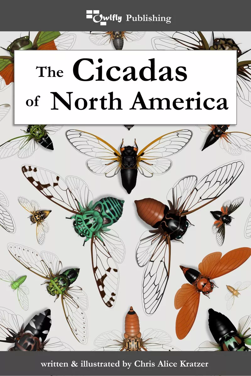 The Cicadas of North America Book – Cicada Mania