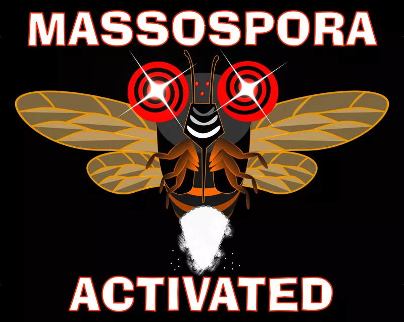 MASSOSPORA activated