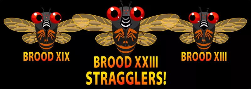 BROODXXIII