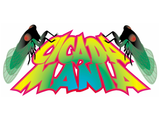 Cicada Mania Icon